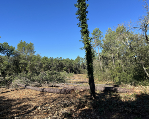 Terres du Soleil - LES BOIS DE SAINT TURQUOIT