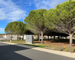 Terres du Soleil - ZAL LA PINEDE