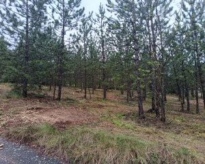 Terres du Soleil - LA GANDELINE