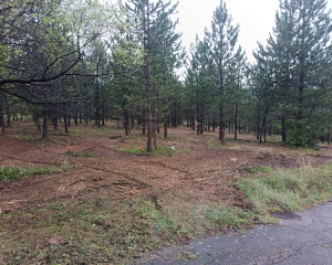 Terres du Soleil - MOLLANS SUR OUVEZE - LA GANDELINE