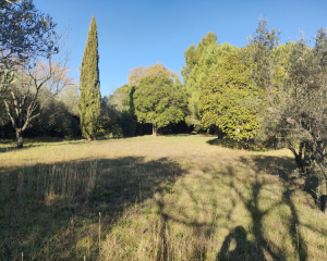 Terres du Soleil - CHEMIN DE FONTVIEILLE