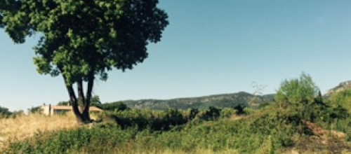 Terres du Soleil - Chemin de Campagne - QUISSAC