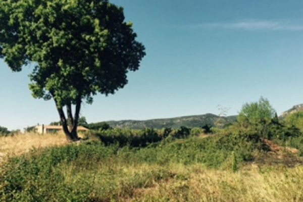 QUISSAC - Chemin de Campagne