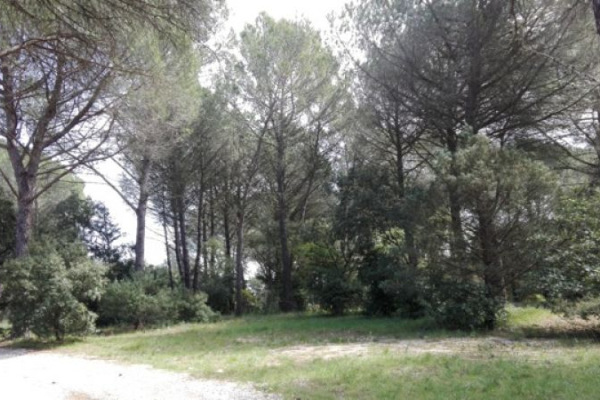 NAGES ET SOLORGUES - LA DRAILLE II