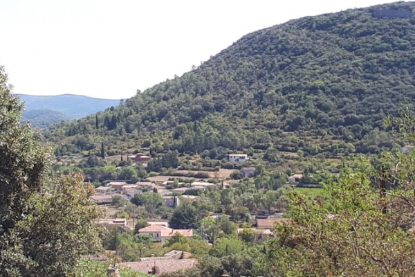 SAINT HIPPOLYTE DU FORT - FONT DE COLLE