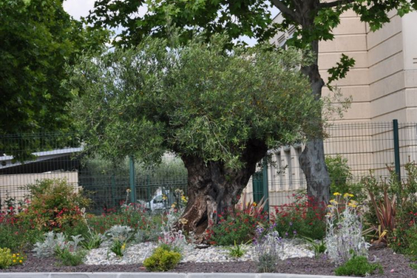 PIGNAN - LES JARDINS DU CHATEAU