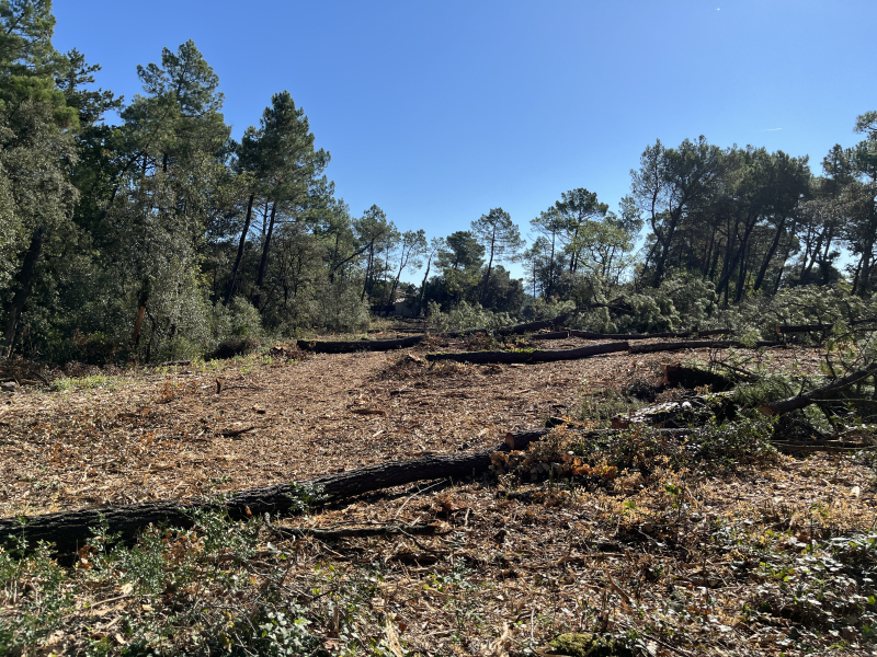 Terres du Soleil - Programme LES BOIS DE SAINT TURQUOIT