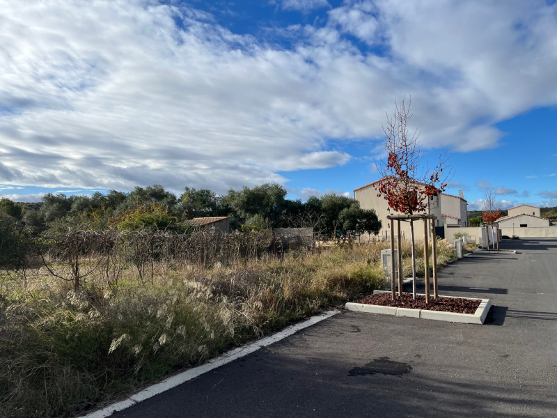 Terres du Soleil - Programme ZAL LA PINEDE