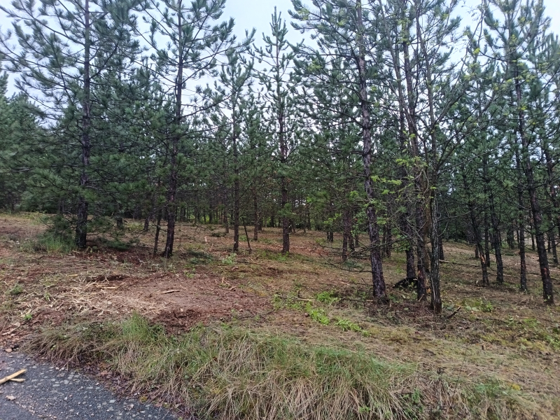 Terres du Soleil - Programme LA GANDELINE