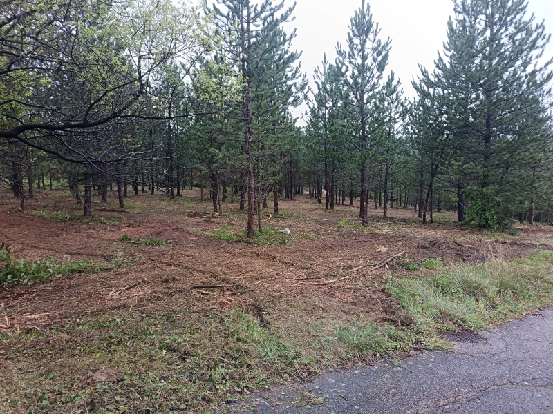 Terres du Soleil - Programme LA GANDELINE