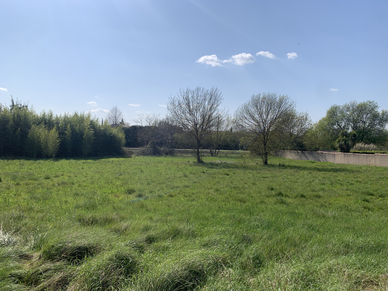 Terres du Soleil - Programme DP LES JARDINS DE FONTANES