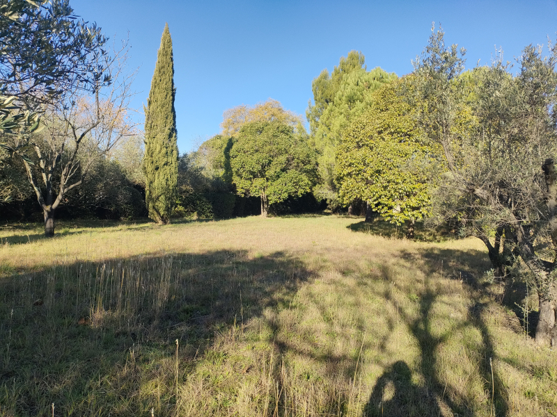Terres du Soleil - Programme CHEMIN DE FONTVIEILLE