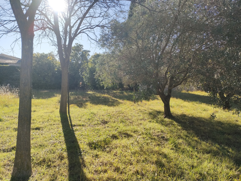 Terres du Soleil - Programme CHEMIN DE FONTVIEILLE