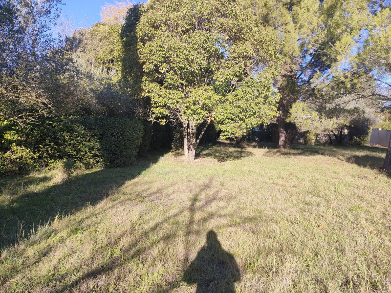 Terres du Soleil - Programme CHEMIN DE FONTVIEILLE