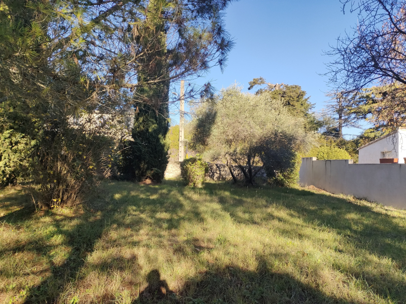 Terres du Soleil - Programme CHEMIN DE FONTVIEILLE