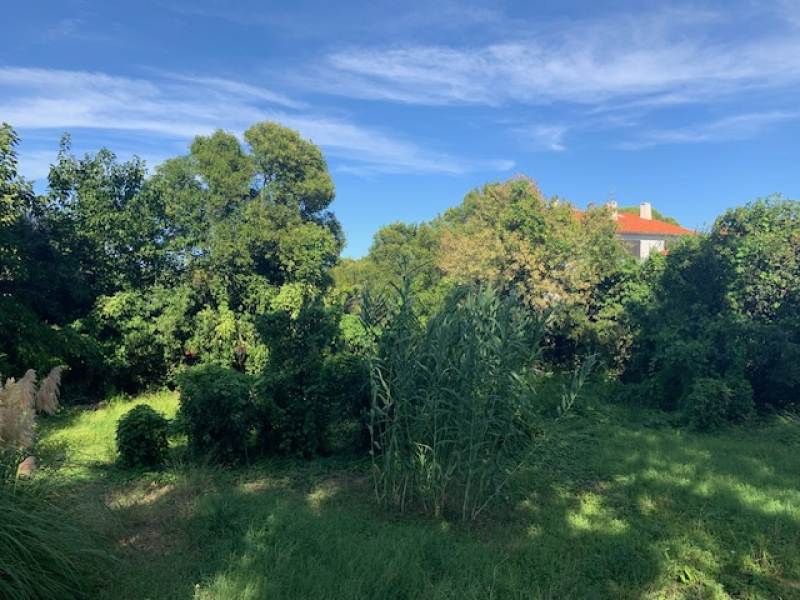 Terres du Soleil - Programme ELS ESTANYOLS
